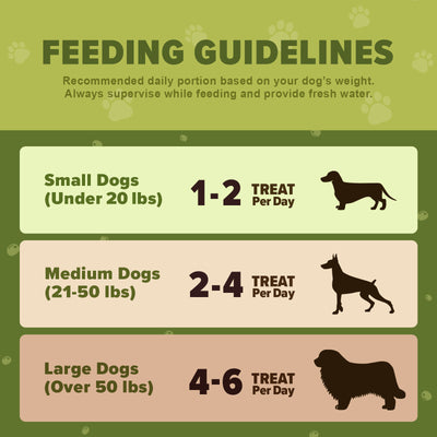 The Daily Good Dehydrated Green Bean Dog Treats