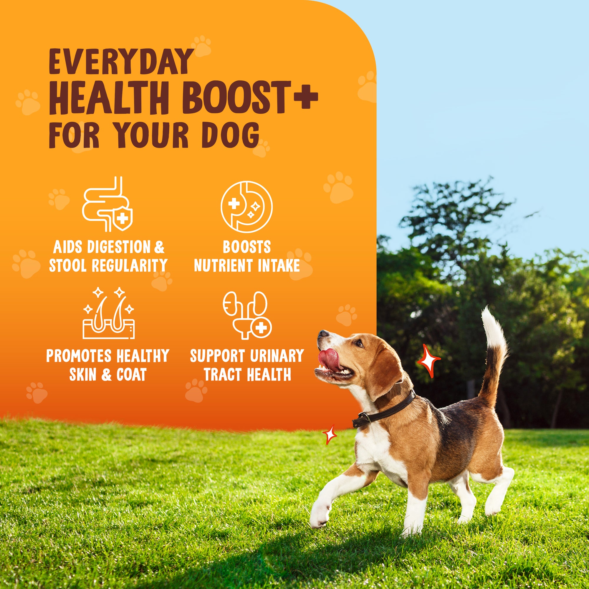 The Daily Good Pumpkin & Pumpkin Seed Powder for Dog