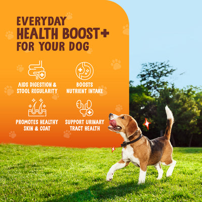 The Daily Good Pumpkin & Pumpkin Seed Powder for Dog