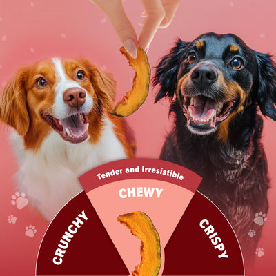 The Daily Good Dehydrated Pumpkin Dog Treats